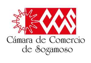 CCS_logo