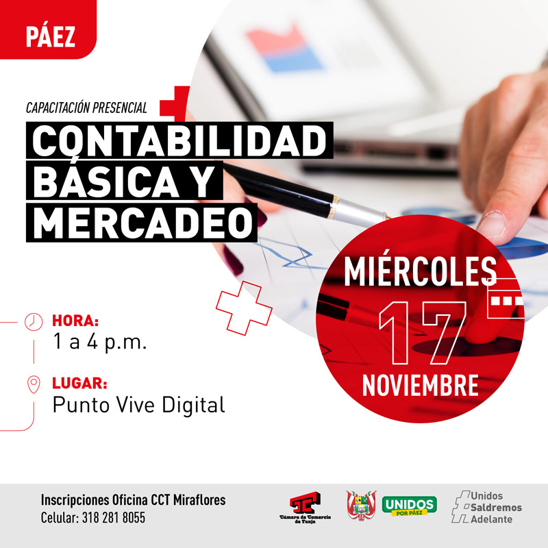PAE 17 contabilidad basica INS Pub