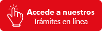 Servicios en línea