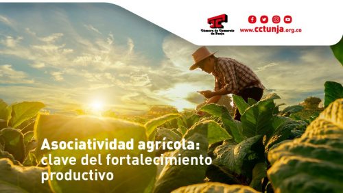 Asociatividad en el sector agrícola, factor clave para el fortalecimiento productivo y el mejoramiento de la calidad de vida en el campo colombiano