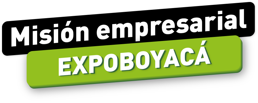 mision expo