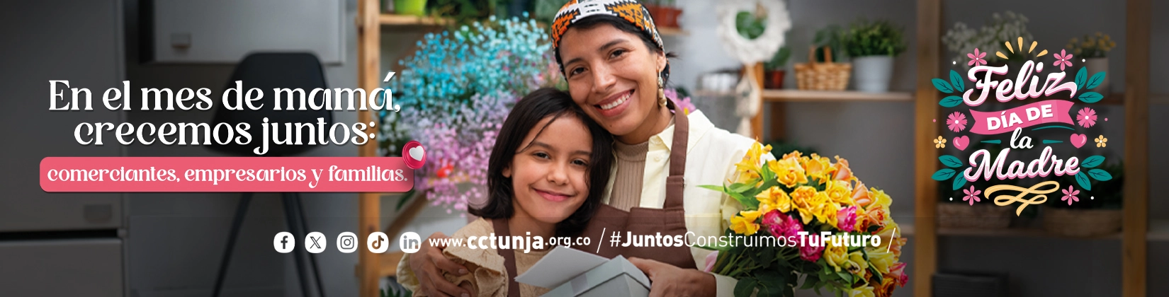 web slider copia