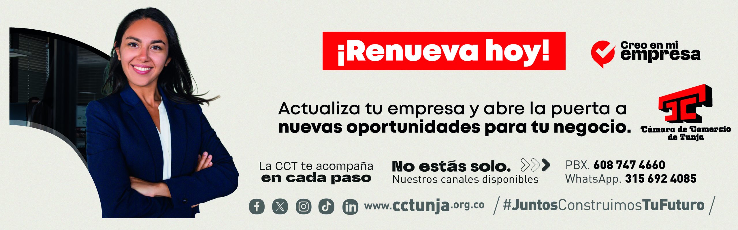 Renovacion web seccion Mesa de trabajo 1