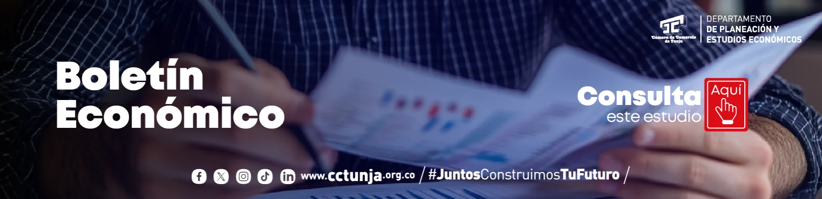 Estudios económicos