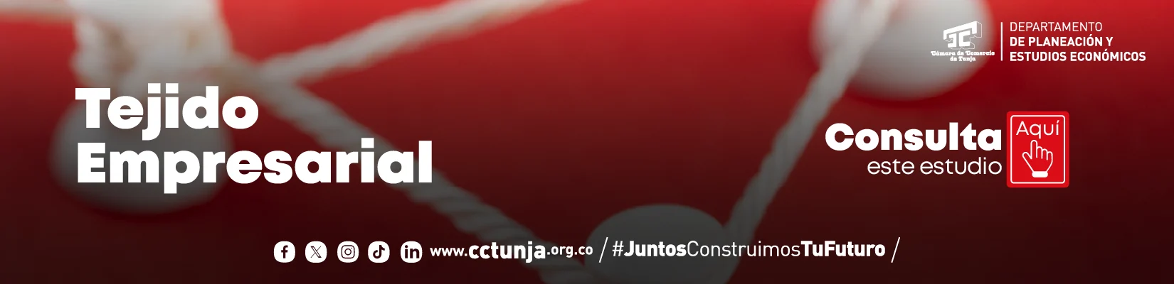 Estudios económicos
