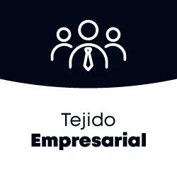 3 BOTON ESTUDIOS ECONOMICOS TEJIDO EMPRESARIAL
